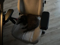 Ігрове крісло Anda Seat Kaiser 3 L Fabric Dark Gray (AD12YDC-L-01-GB-CF)