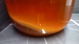 Продукт Чайний гриб KomBUCHA BOX 1 шт на 3л банку фото від покупців 6
