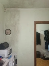 Засіб для видалення цвілі Astonish Mould&Mildew Stain Blaster 750 мл фото від покупців 7