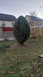 Кусторез электрический Bosch EasyHedgeCut 45 (0600847A05)