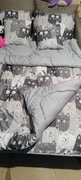 Подушка Руно Grey Cat антиаллергенное волокно 50х70 см (Р310.52СЛУ_Grey Cat) фото от покупателей 10