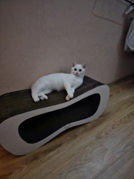 Когтеточка (царапка) - лежанка для кошек AdeleCat vip 77 х 29 х 30 см фото от покупателей 8