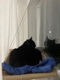 Лежанка для кошек оконный гамак с присосками на окно Sunny Seat Mounted Cat Bed до 22 кг Лёгкая Бежевая (3026)