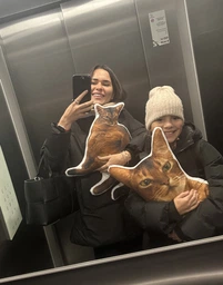 Кіт подушка по фотографії, подушка котик 45 см