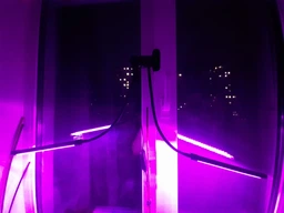 Светодиодная настольная фитолампа 2 LED светильника на управлении со сменой цвета и таймером фото от покупателей 1