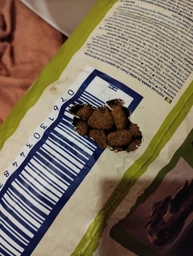 Сухий корм для дорослих собак великих порід Purina Dog Chow Adult Large Breed зі смаком індички 14 кг фото від покупців 5
