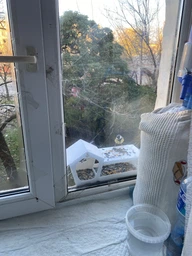 Кормушка для птиц на окно House_for_birds "Домик белый" фото от покупателей 15
