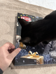 Адвент календарь лакомства для кошек Trixie PREMIO 30х34х3.5 см (211 г) (4047974092644) фото от покупателей 6
