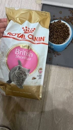 Корм для кошенят породи Британська короткошерста ROYAL CANIN KITTEN BRITISH SHORTHAIR 400 г (2566004) фото от покупателей 1