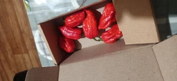 Свежий перец Каролина Рипер (Carolina Reaper) красный (red) - 1 шт