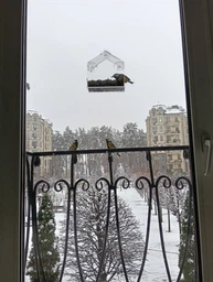 Прозрачная кормушка для птиц на окно Домик фото от покупателей 7