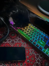 Игровая поверхность RZTK Kylym 900x400x4 мм фото от покупателей 2