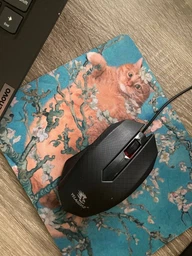 Коврик для мышки Винсент Ван Гог Кот (Vincent van Gogh Cat) (25108-2963) 22 * 18 см фото от покупателей 5