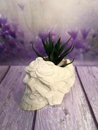 Штучна рослина та кашпо ІКЕА ФЕЙКА начинки, 6 см 3 шт. 505.197.64 фото від покупців 1