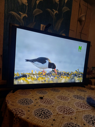 Телевизор Samsung 32" UE32T5300AUXUA фото от покупателей 19