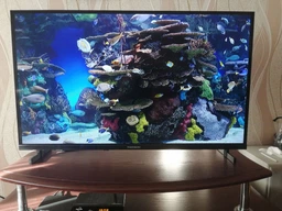 ТБ Thomson 24HD2S13 фото від покупців 5