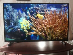 ТБ Thomson 24HD2S13 фото від покупців 4