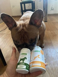 Мультивитаминная добавка к корму для собак Nature's Protection Multivitamins 150 таблеток (CAN63295)