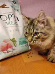Сухой корм для котят Kitten Chicken курица 1 кг Optimeal фото от покупателей 1