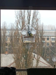 Кормушка для птиц на окно House_for_birds "Теремок" фото от покупателей 8