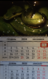 Календарь на 2025 год, Apriori ,Календарь настенный квартальный на 2025 год , на три пружины , год Змеи, Змея, символ года Змея, 29,7х61 см , 7 вид фото от покупателей 5