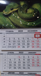 Календарь на 2025 год, Apriori ,Календарь настенный квартальный на 2025 год , на три пружины , год Змеи, Змея, символ года Змея, 29,7х61 см , 7 вид фото от покупателей 4