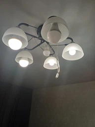 Лампочка Eurolamp А70 12W E27 4500K (LED-A70-12274(EM)) фото от покупателей 1