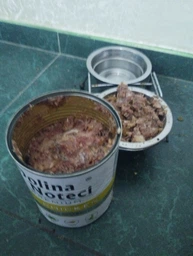 Вологий корм для собак з куркою Dolina Noteci Premium Dog Chicken, 400 гр