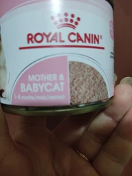 Вологий корм Royal Canin Gastrointestinal Kitten для кошенят при розладах травлення (паштет) 6 шт х 195 г