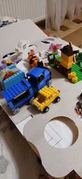 Конструктор LEGO Classic Коробка кубиков для творческого конструирования LEGO Classic 484 детали (10696) фото от покупателей 15