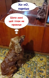 Бобер плюшевий з імітацією звуку Trixie 35910 27 см (4011905359106)A фото від покупців 1