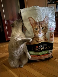 Сухой корм Purina Pro Plan Sterilised с кроликом для стерилизованных кошек и кастрированных котов 1,5 кг фото от покупателей 4