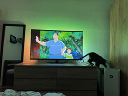 Телевізор Philips OLED 48" 48OLED819/12 фото від покупців 5