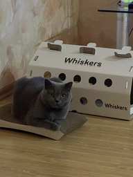 Когтеточка - лежанка дряпка для кошек и котов WellCat Mini 45х24х5.5 см и коробка домик 46*26*22,5см