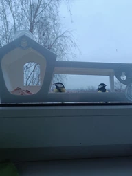Кормушка для птиц на окно House_for_birds "Домик белый" фото от покупателей 10