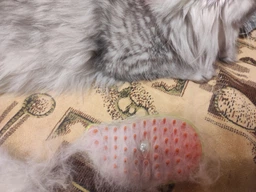Паровая щетка расческа для вычесывания шерсти котов 3 в 1 Steamy Cat Brush Зеленая фото от покупателей 5