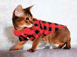 Рубашка для собак Pet Style "Бабочка" Синяя XL