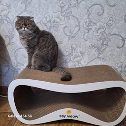 Кігтеточка-лежанка Say Meow Grace Max 67х27х35 см - бежевий фото від покупців 8