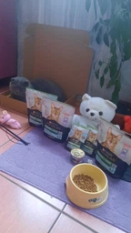Сухой корм для котов Purina Pro Plan Sterilised Renal Plus с индейкой 1.5 кг (НФ-00000360) фото от покупателей 12