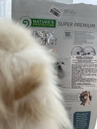 Сухой беззерновий корм Nature's Protection Superior Care White Dogs Grain Free Adult Small and Mini Breeds для взрослых собак малых пород с белой окраской шерсти, с белой рыбой, 17 кг