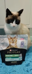Сухой корм для котов Purina Pro Plan Sterilised Renal Plus с индейкой 1.5 кг (НФ-00000360) фото от покупателей 8
