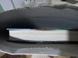 Різдвозаврова пісня. Книга 4 - Флетчер Т. - 978-966-448-357-2