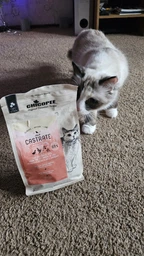 Сухий корм для котів Chicopee CNL Cat Adult Adult Castrate з Птицею 0.4 кг (024624)(4015598024624)