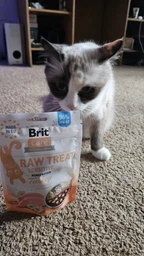 Лакомство для кошек Brit Care Raw Treat Sensitive Freeze-dried с индейкой 40 г (8595602569571) фото от покупателей 5