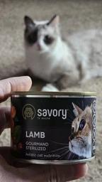 Вологий корм Savory для стерилізованих котів з ягнятим 200 г фото від покупців 2