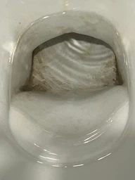 Таблетки для чищення унітазу від вапняного та сечового каменів Denkmit WC Tabs 16 шт фото от покупателей 5