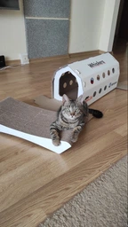 Кігтеточка - лежанка дряпка для кішок та котів WellCat Graceful 53х24х8 см та коробка будинок 54*26*24,5см фото від покупців 2