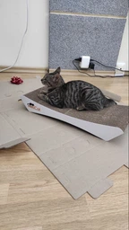 Кігтеточка - лежанка дряпка для кішок та котів WellCat Graceful 53х24х8 см та коробка будинок 54*26*24,5см фото від покупців 1