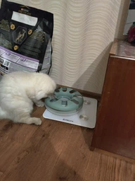 Іграшка для котів трек ігровий з мишкою Trixie Crazy Circle 24*29 см фото від покупців 10