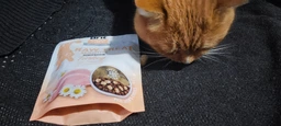 Лакомство для кошек Brit Care Raw Treat Sensitive Freeze-dried с индейкой 40 г (8595602569571) фото от покупателей 4
